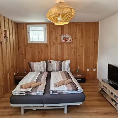 Fewo Seeblick 1 Apartment Feldberg (Baden-Wurttemberg)